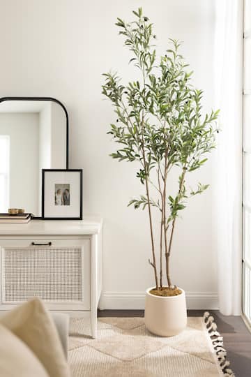 Kate and Laurel 7ft. Oliveira Faux Olive Tree with Jia Curved Cream Planter